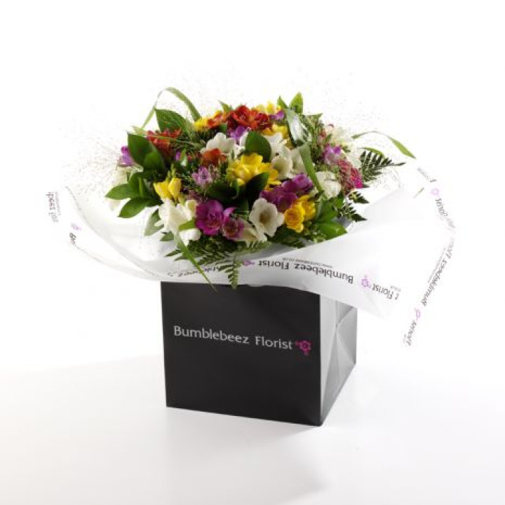 Fragrant Freesia Fragrant Freesia