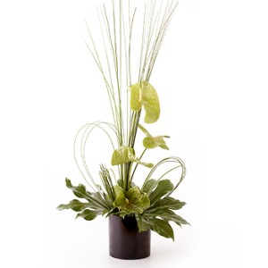 Simply Anthurium - Green Simply Anthurium - Green