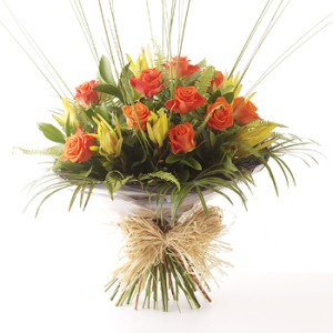 Orange Elegance Orange Elegance