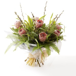 Protea Passion Protea Passion