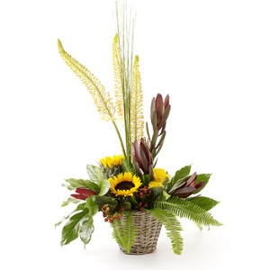 Basket of Sunshine Basket of Sunshine